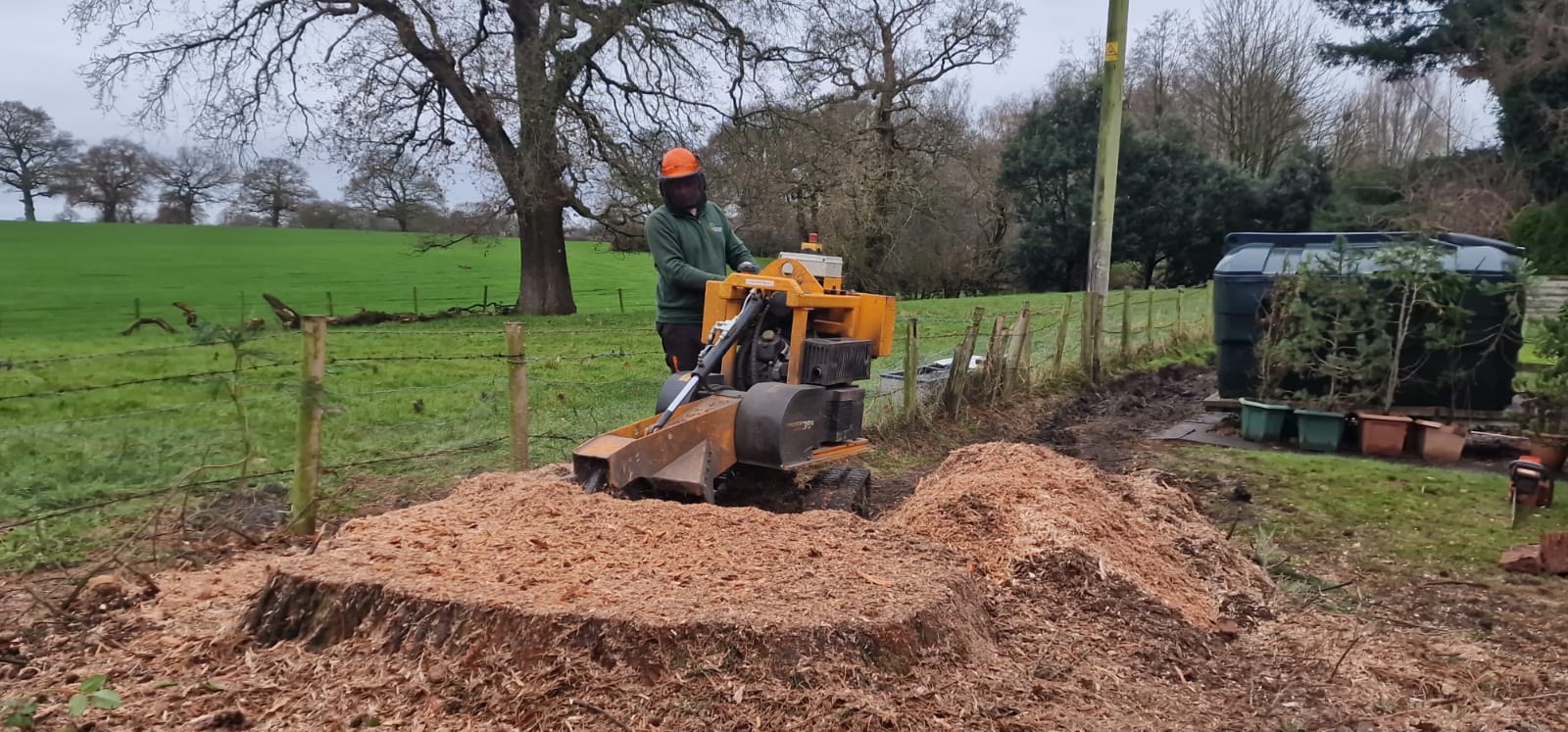 Tree stump removal service in Brent with professional stump grinder